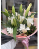 Vip kazablanka 2233